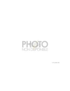 BLH6009 - Dérive - Blade mCPX BL2 E-flite 